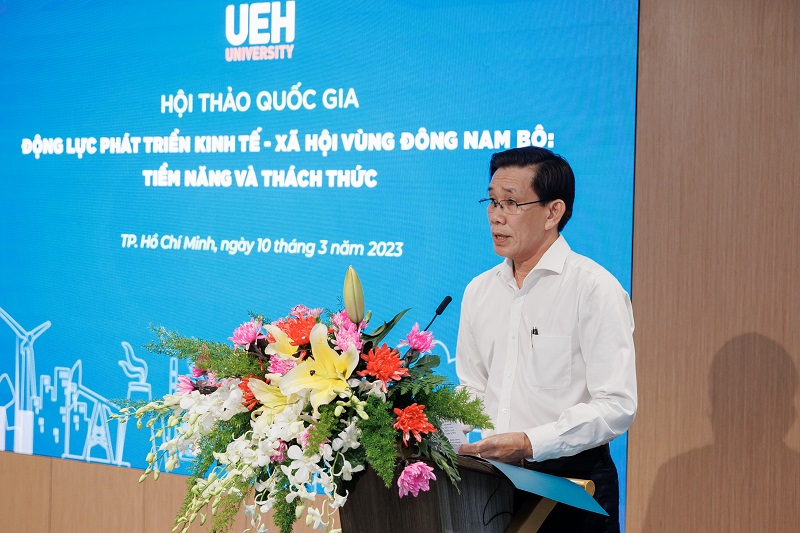 cá cược thể thao hul city